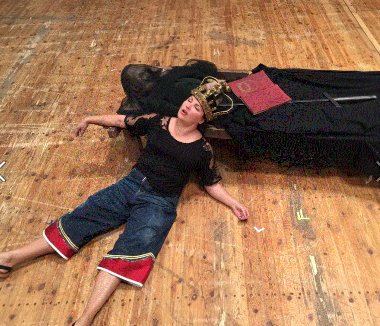 Lohengrin Anna Netrebko Dresden Semperoper Probe 2016